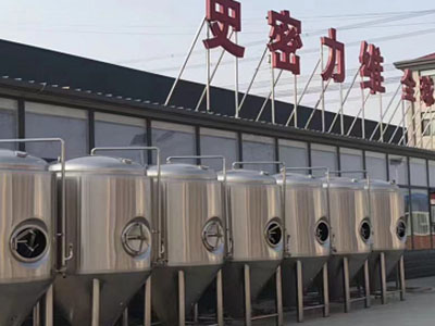 罗平精酿啤酒设备厂—如何判断精酿啤酒设备的密封件需要更换？